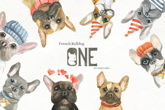 Big Set French Bulldog