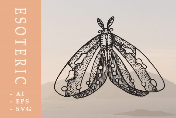 Moth - Esoteric Hand Drawn Illustration